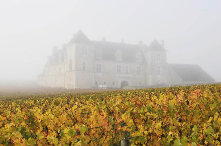 Clos-Vougeotin-the-mist818-440x291 Chefs et Climats en Bourgogne, charité du Bon, du Beau et du Bien 