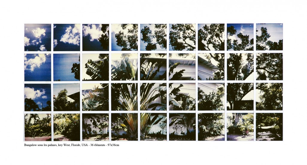 « Les rencontres photographiques ViaSilva »-PALMES- KEY WEST©PascalTherme