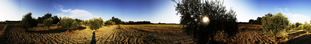 champolivier-okprint-1024x146 VIASILVA ARCHITECTURE PHOTOGRAPHIE voyage