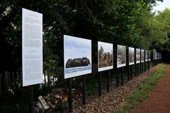 La_Gacilly-STIRTON-5-350x233 La_Gacilly-STIRTON-5 