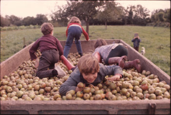 Madeleine-de-Sinéty-Série-22Poilley-1974-198022--350x236 MERIGNAC PHOTOGRAPHIC FESTIVAL ART 