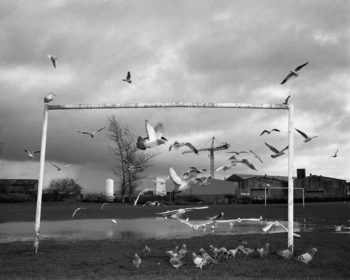 Mark-Neville-Série-22Port-Glasgow22-Coronation-Park-2005-350x280 MERIGNAC PHOTOGRAPHIC FESTIVAL ART 