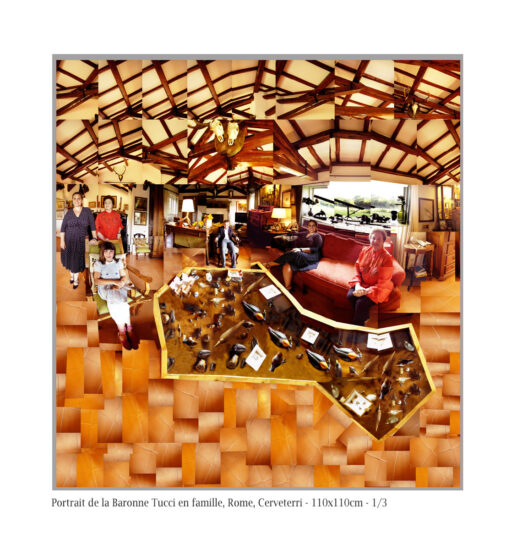 Fragmentations1557-517x550 Art Work 