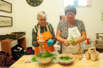 Vendanges-2021-Domaine-GHISLAIN-KOHUT-5498-350x233 Vendanges 2021-Domaine GHISLAIN KOHUT-5498 
