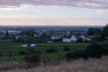 D.Fournier-au-matin-0006-350x234 D.Fournier au matin-0006 