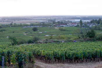 D.Fournier-au-matin-0007-350x234 D.Fournier au matin-0007 