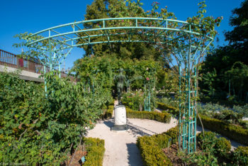 Dijon_en_Aout-3052-350x234 Dijon_en_Aout-3052 