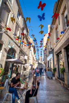 Dijon_en_Aout-3126-234x350 Dijon_en_Aout-3126 