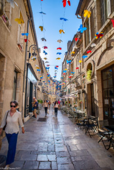 Dijon_en_Aout-3132-234x350 Dijon_en_Aout-3132 