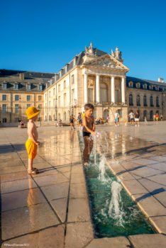 Dijon_en_Aout-3171-234x350 Dijon_en_Aout-3171 