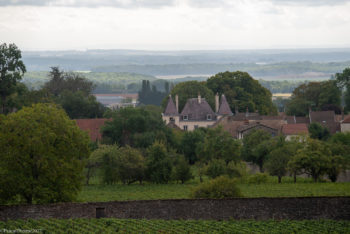 Domaine-Clemencey-0105-350x234 Domaine Clemencey-0105 