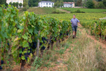 Domaine-Derey-Frères-0058-350x234 Domaine Derey Frères-0058 