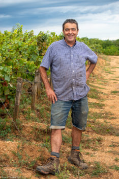 Domaine-Derey-Frères-0149-234x350 Domaine Derey Frères-0149 