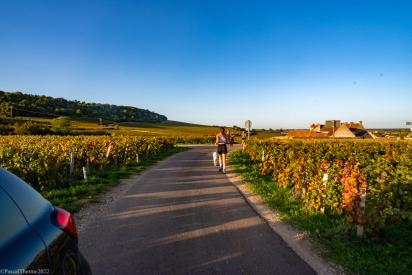 CÔTE DE NUITS, EN CORPS ET TOUJOURS