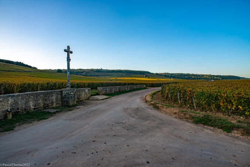CÔTE DE NUITS, EN CORPS ET TOUJOURS