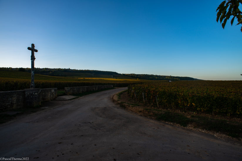 CÔTE DE NUITS, EN CORPS ET TOUJOURS