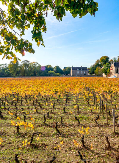 De-Fixin-à-Brochon-0001-400x550 Chefs et Climats en Bourgogne, charité du Bon, du Beau et du Bien 