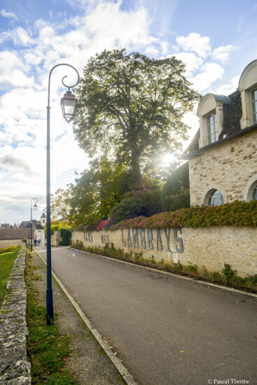 Morey-ST-Denis-1-0110-367x550 Chefs et Climats en Bourgogne, charité du Bon, du Beau et du Bien 