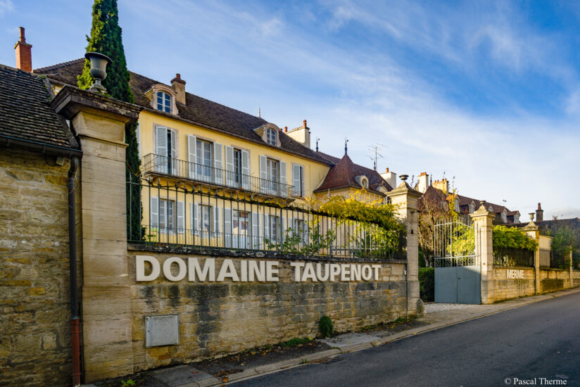 Morey-ST-Denis-1-0147-824x550 Chefs et Climats en Bourgogne, charité du Bon, du Beau et du Bien 
