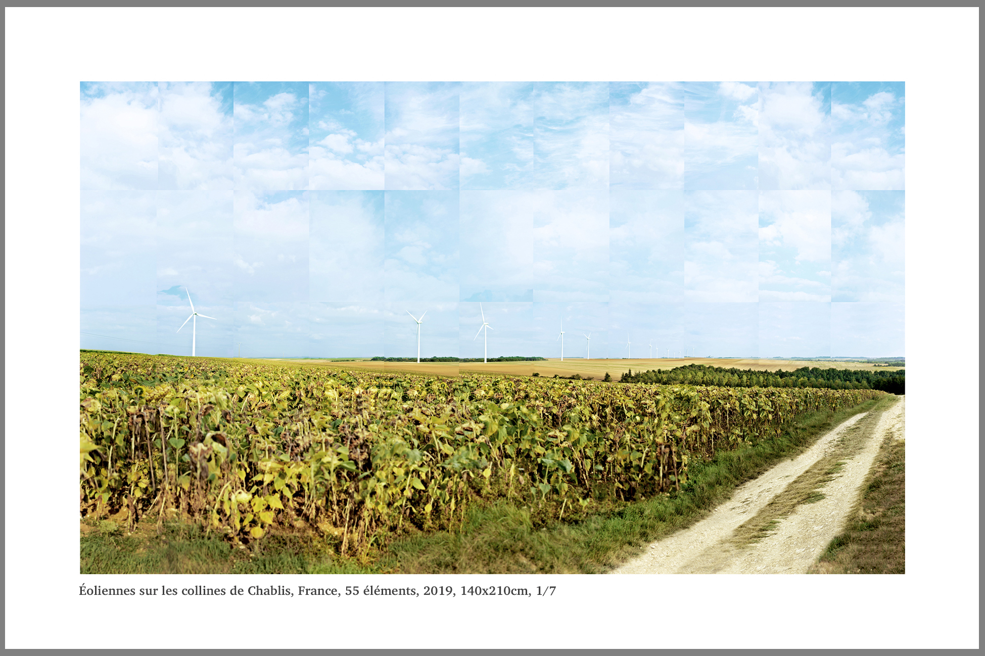 22X32CM58-FRANCE-EOLIENNES-A-CHABLIS PASCAL THERME, PLASTICIEN DE LA PHOTOGRAPHIE. ART PHOTOGRAPHIE 