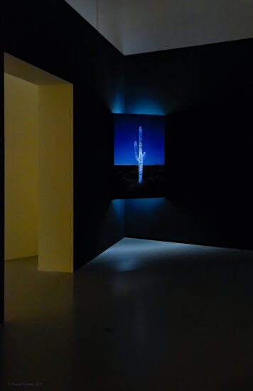 PAYSAGES-MOUVANTS-33-356x550 Portfolio - One Page Gallery - Light 