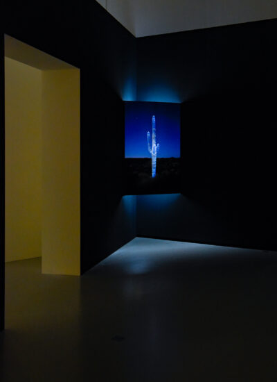 PAYSAGES-MOUVANTS-33-400x550 Portfolio - One Page Gallery - Light 