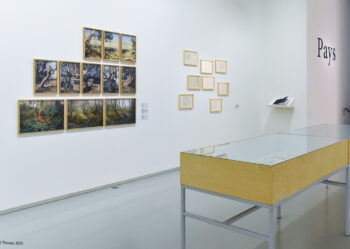 PAYSAGES-MOUVANTS-92-350x249 reportage photo 