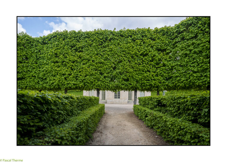 TRIANON-VERSAILLES-2025-17-770x550 REPORTAGES PHOTO VOYAGES 