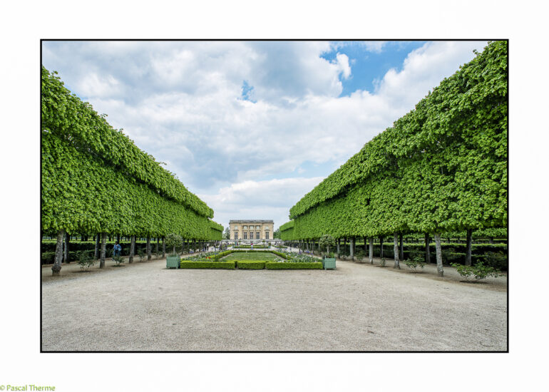 TRIANON-VERSAILLES-2025-20-770x550 REPORTAGES PHOTO VOYAGES 