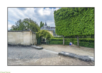 TRIANON-VERSAILLES-2025-35-1-350x250 reportage photo 