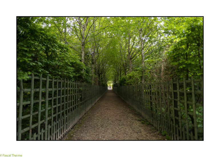 TRIANON-VERSAILLES-2025-7-770x550 REPORTAGES PHOTO VOYAGES 