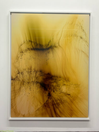 Wolfgang Tillmans
