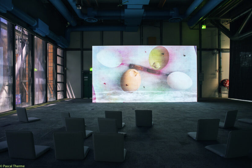Wolfgang Tillmans