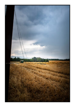 Apres-lorage-Esparon-du-Verdon-2025-27-1-245x350 Après l'orage, Esparon du Verdon, 2025-27 