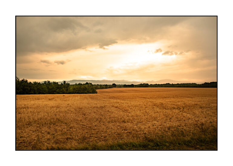 Apres-lorage-Esparon-du-Verdon-2025-28-770x550 REPORTAGES PHOTO VOYAGES 