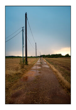 Apres-lorage-Esparon-du-Verdon-2025-41-1-242x350 Après l'orage, Esparon du Verdon, 2025-41 