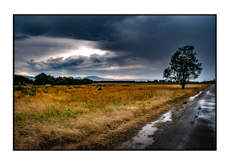 Apres-lorage-Esparon-du-Verdon-2025-44-770x550 REPORTAGES PHOTO VOYAGES 