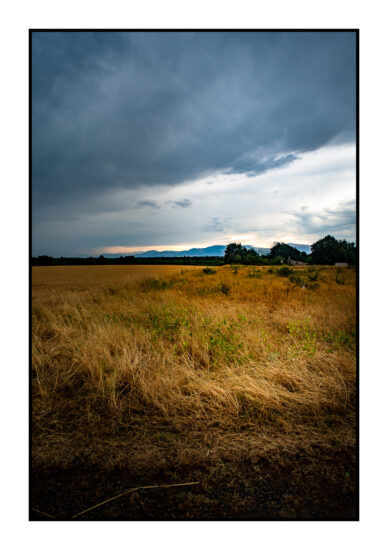 Apres-lorage-Esparon-du-Verdon-2025-47-388x550 REPORTAGES PHOTO VOYAGES 