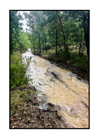 Apres-lorage-Esparon-du-Verdon-2025-52-391x550 REPORTAGES PHOTO VOYAGES 