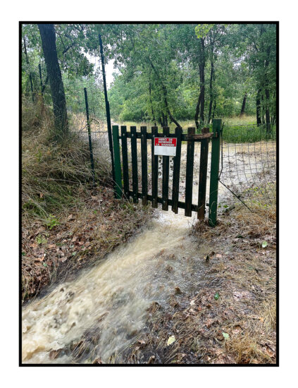 Apres-lorage-Esparon-du-Verdon-2025-53-423x550 REPORTAGES PHOTO VOYAGES 