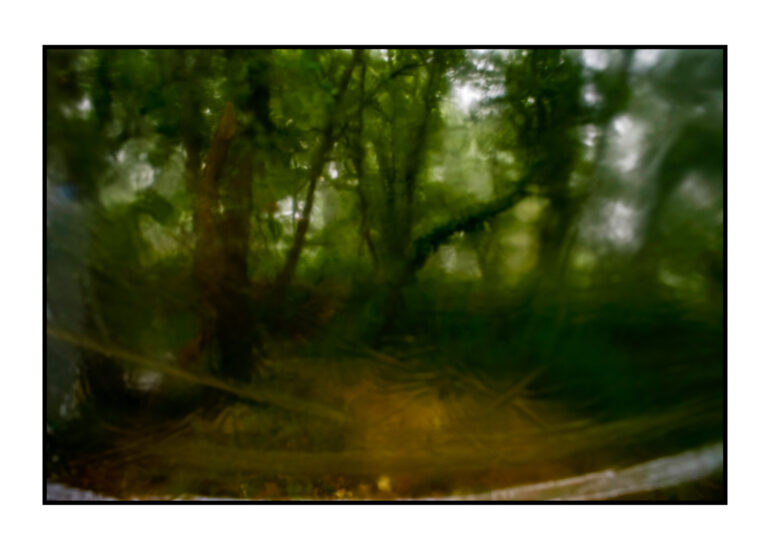 Apres-lorage-Esparon-du-Verdon-2025-58-770x550 REPORTAGES PHOTO VOYAGES 