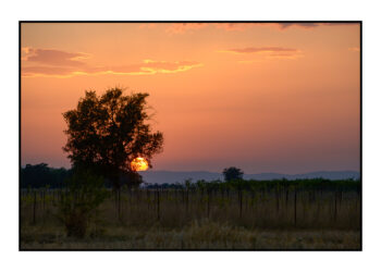 Apres-lorage-Esparon-du-Verdon-2025-8-350x250 Après l'orage, Esparon du Verdon, 2025-8 