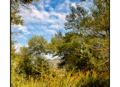 LE-CHEMIN-DE-LA-PLAGE-MOUSTIERS-33-400x290 Portfolio - Fullscreen Grid Lightbox 