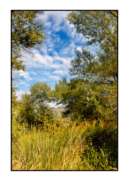 LE-CHEMIN-DE-LA-PLAGE-MOUSTIERS-33-440x616 REPORTAGES PHOTO VOYAGES 