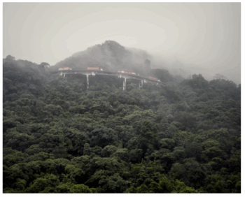 Capture-decran-2025-10-05-a-14.38.28-350x282 OCTOBRE ROUGE PHOTOGRAPHIE 