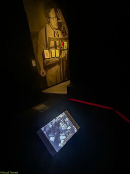 ORSON-WELLES-CIMETATHEQUE-27-263x350 ORSON-WELLES-CIMÉTATHÈQUE-27 