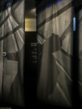 ORSON-WELLES-CIMETATHEQUE-5-263x350 ORSON-WELLES-CIMÉTATHÈQUE-5 