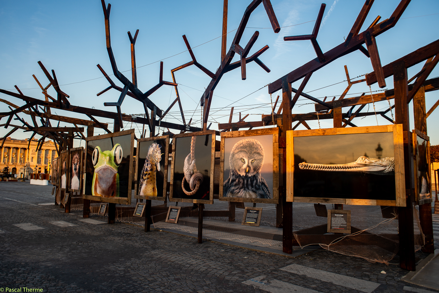 Photoclimated-Concorde-2025-8 OCTOBRE ROUGE PHOTOGRAPHIE 