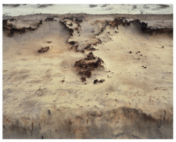 Capture-decran-2025-11-10-a-22.15.19-350x283 Capture d’écran 2025-11-10 à 22.15.19 