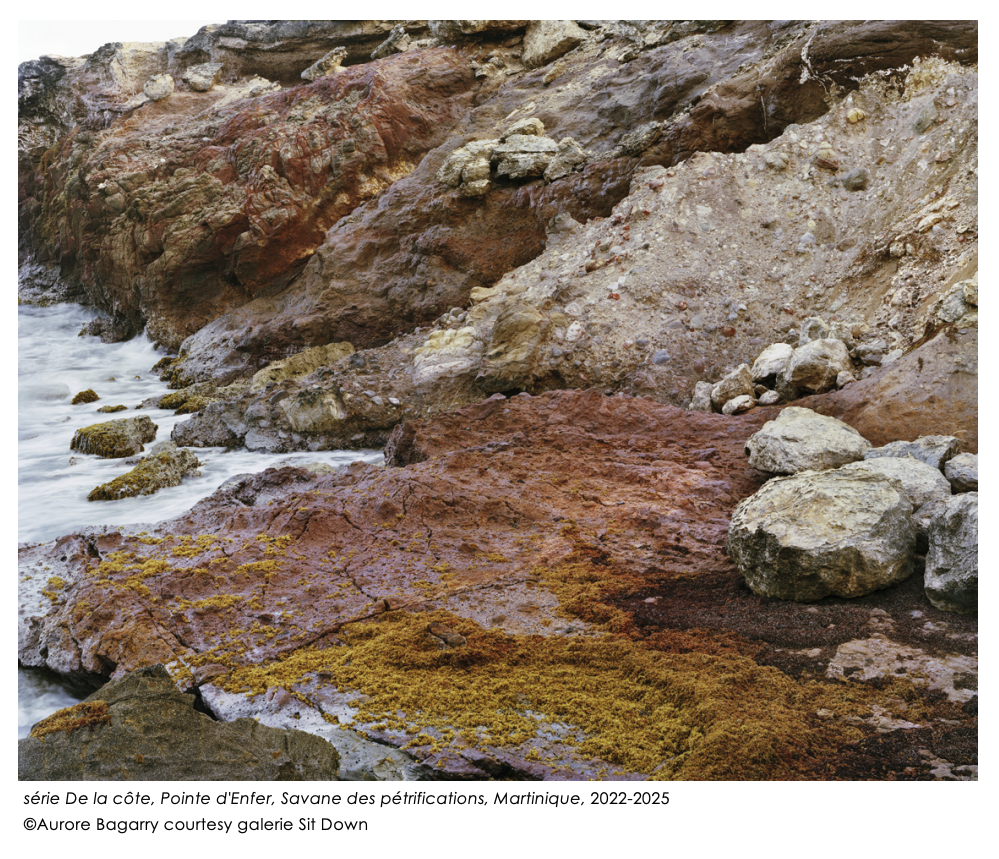Capture-decran-2025-11-10-a-22.42.58 AURORE BAGARRY chez SIT DOWN ART PHOTOGRAPHIE 